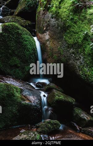 Gertelbach Wasserfälle des Schwarzwaldes, Baden-Württemberg, Deutschland Stockfoto