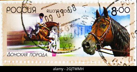 MOSKAU, RUSSLAND - 18. JUNI 2021: In Russland gedruckte Briefmarke zeigt Don Horse (Equus ferus caballus), Domestic Horse Rasses Serie, um 2007 Stockfoto