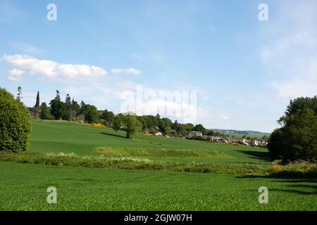 Blick über grüne landwirtschaftliche Felder auf das kleine Dorf Maryburgh. Links sehen wir die hohen Gedächtnisbäume und in der Ferne eine Windturbine Stockfoto