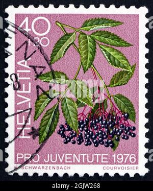 SCHWEIZ - CIRCA 1976: Ein in der Schweiz gedruckter Stempel zeigt Black Elder, Sambucus Nigra, Medicinal Forest Plant, circa 1976 Stockfoto