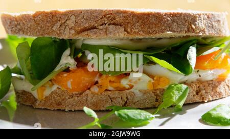 Ein köstliches, nahrhaftes Ei- und Brunnenkresse-Sandwich zwischen knusprigen, hausgemachten Brotscheiben. Stockfoto