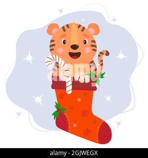 Weihnachtliche rote Socke mit lächelndem niedlichen Tiger mit gestreiftem Karamell-Bonbon und Neujahrsmistel. Vektorgrafik Winter Stock Vektor