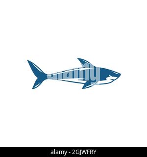 Shark Illustration Icon Design Vorlage Vektor Stockfoto