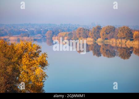 Herbstfluss aus einer Höhe mit gelben Bäumen Stockfoto