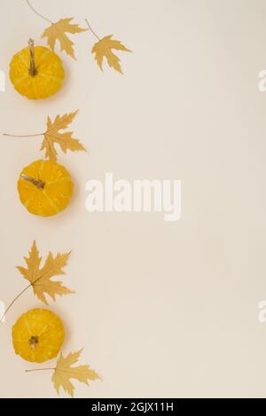 Festliches Herbstdekor aus Kürbissen und gefallenen Blättern auf hellem Hintergrund. Flach Lay Herbst Komposition mit Kopierraum. Thanksgiving oder Halloween Tag c Stockfoto