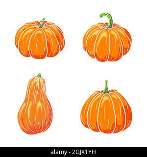 Juicy Pumpkins Kollektion. Reife Kürbis Illustrationen Set für Aufkleber, Drucke, Einladung, Menü und Grußkarten Design und Dekoration. Premium Vector Stock Vektor