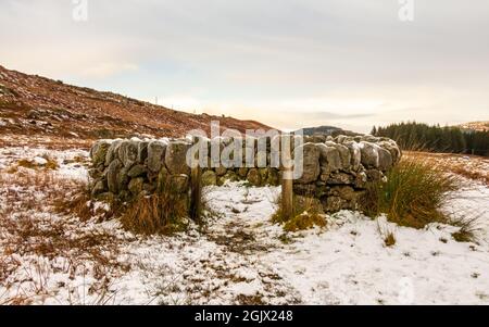 Ein alter schneebedeckter schottischer Trockensteindeich Schafstall im Winter, Cairnsmore von Fleet, Schottland Stockfoto