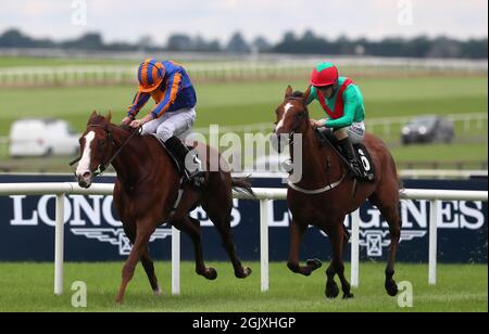 William Lee reitet auf La Petite Coco (rechts) auf dem Weg zum Sieg der Moylare „Jewels“ Blandford am zweiten Tag des Longines Irish Champions Weekend auf der Curragh-Rennbahn. Bilddatum: Sonntag, 12. September 2021. Stockfoto