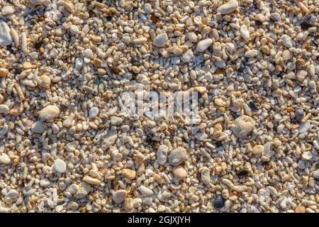Muscheln und Kieselsteine, Diniwid Beach, Boracay Island, Philippinen Stockfoto