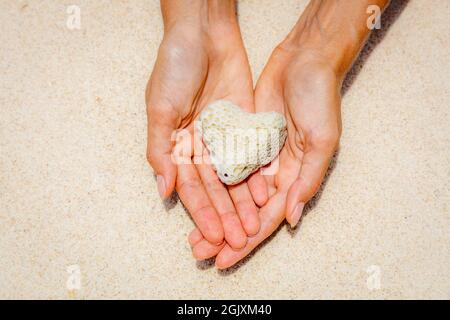 Herz geformte Korallen in der Frau Hände, Sand für den Hintergrund. Die Insel Boracay, Philippinen. Konzept der Marine Conservation und den Ozean. Mit dem Raum. Stockfoto