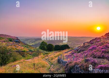 Wunderschöner Sonnenuntergang über den Hügeln des Peak District National Park, von Curbar Edge aus gesehen, Derbyshire, mit violettem Heidekraut im Vordergrund. VEREINIGTES KÖNIGREICH. Stockfoto