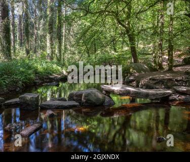 Felsbrocken bieten die Möglichkeit, Waldbach im Parc naturel regional d'Armorique in der Nähe von huelgoat zu überqueren Stockfoto