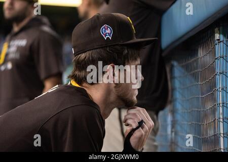 San Diego Padres Right Fielder Wil Myers (5) während eines MLB-Spiels gegen die Los Angeles Dodgers, Samstag, 11. September 2021, in Los Angeles, Kalif. Der D Stockfoto