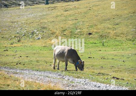 La molina Cataluña España, Paisajes de los pirineos de Cataluña Stockfoto