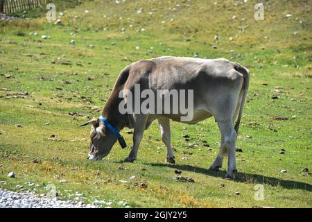 La molina Cataluña España, Paisajes de los pirineos de Cataluña Stockfoto