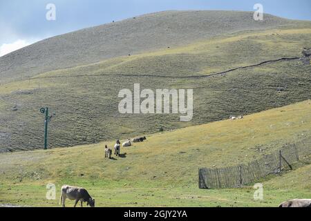 La molina Cataluña España, Paisajes de los pirineos de Cataluña Stockfoto