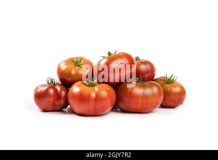 Ungewöhnliche Tomaten in verschiedenen Größen. Atemberaubende Gruppe frischer, dunkelroter bis burgunderroter Tomaten aus tasmanischer Schokolade, die aus dem Garten geerntet werden. Ideal für sl Stockfoto