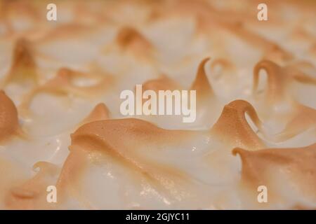 Lemon Meringue Pie Stockfoto