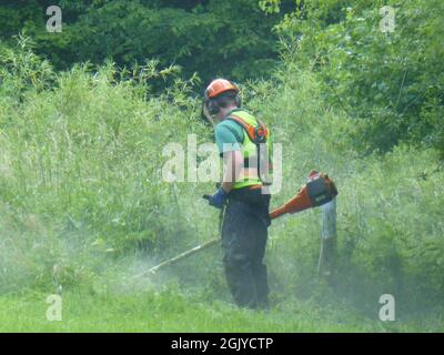 Der Wye Valley Forest von Dean Gloucestershire UK Arbeiter beim Rasenmähen Arbeiter hat Arbeiter beschäftigt beim Schneiden Schneiden Schutzjacke Schneiden Hut Stockfoto