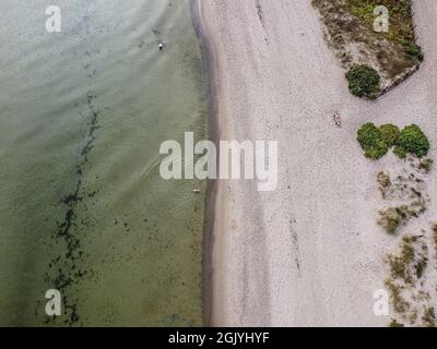 Mechelinki, Polen. September 2021. Die allgemeine Ansicht des Sandstrandes der Danziger Bucht mit Algen und Algen im Wasser ist am 12. September 2021 in Mechelinki, Polen, zu sehen (Foto: Vadim Pacajev/Sipa USA) Quelle: SIPA USA/Alamy Live News Stockfoto