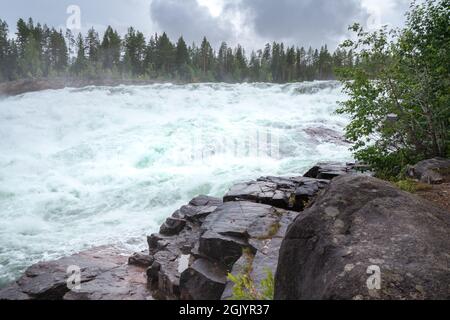 Storforsen, ein wilder, riesiger Wasserfall am Pite River in der schwedischen Arktis an einem bewölkten, regnerischen Tag im arktischen Sommer. Gebiet Norrbottens, nordwestlich von Alvsbyn. Wild Stockfoto