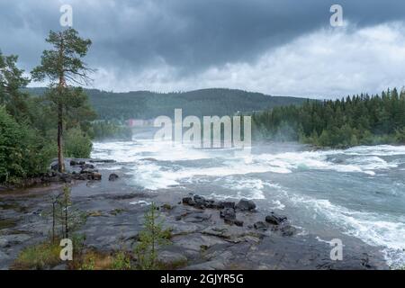 Storforsen, ein wilder, riesiger Wasserfall am Pite River in der schwedischen Arktis an einem bewölkten, regnerischen Tag im arktischen Sommer. Gebiet Norrbottens, nordwestlich von Alvsbyn. Wild Stockfoto