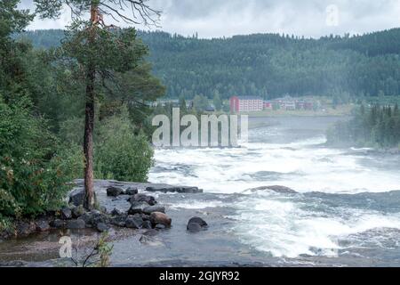 Storforsen, ein wilder, riesiger Wasserfall am Pite River in der schwedischen Arktis an einem bewölkten, regnerischen Tag im arktischen Sommer. Gebiet Norrbottens, nordwestlich von Alvsbyn. Wild Stockfoto