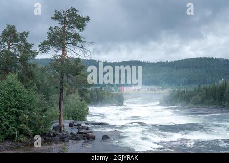 Storforsen, ein wilder, riesiger Wasserfall am Pite River in der schwedischen Arktis an einem bewölkten, regnerischen Tag im arktischen Sommer. Gebiet Norrbottens, nordwestlich von Alvsbyn. Wild Stockfoto