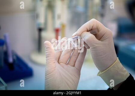 Labor zur Entwicklung therapeutischer Impfstoffe zur Behandlung von Lungenkrebs durch Stimulierung des Immunsystems. Stockfoto