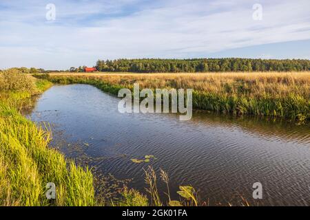 Wunderschöne Aussicht auf den Fluss am Herbsttag. Dunkle Wasseroberfläche, grüne Bäume und blauer Himmel mit weißen Wolken. Schweden, Europa. Stockfoto