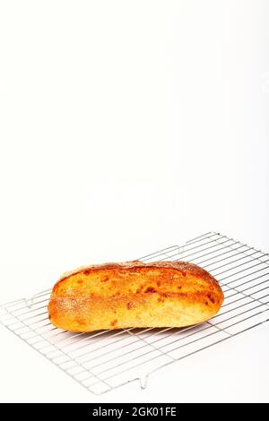 Frisch gebackenes Sauerteig und Käse-handwerkliches Brot auf einem Kühlgestell aus Drahtmetall mit Kopierfläche Stockfoto