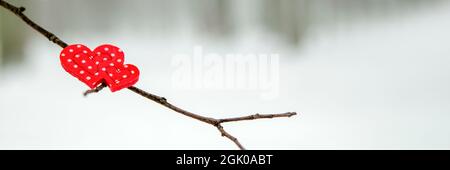 Grußkarte oder Banner zum Valentinstag. Die roten Herzen auf dem Ast des schneebedeckten Baumes im Winter. Feiertage alles Liebe zum Valentinstag Stockfoto