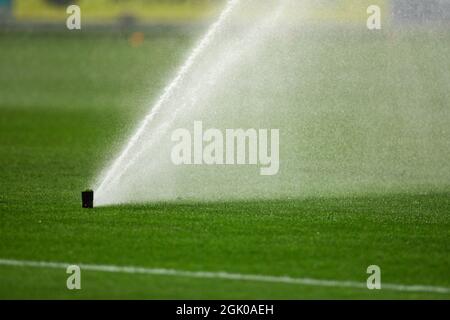 Details mit Rasensprinklern auf dem Spielfeld eines Fußballstadions. Stockfoto