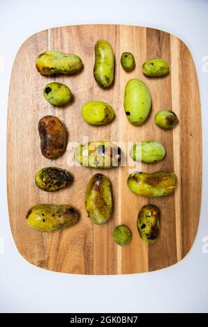 Ein Stillleben einer unterschiedlich großen, frisch gepflückten American Paw Paw Fruits in verschiedenen Reifephasen auf einem Holzschneidebrett. Stockfoto
