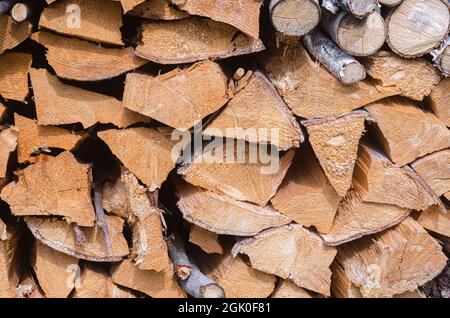 Ernte für den Winter eine Mischung aus Brennholz von verschiedenen Baumarten, ordentlich gestapelt. Brennholz für Raumheizung und Kochen. Stockfoto