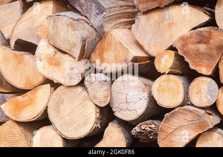 Ernte für den Winter eine Mischung aus Brennholz von verschiedenen Baumarten, ordentlich gestapelt. Brennholz für Raumheizung und Kochen. Stockfoto