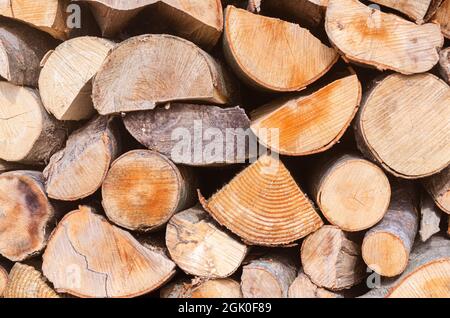 Ernte für den Winter eine Mischung aus Brennholz von verschiedenen Baumarten, ordentlich gestapelt. Brennholz für Raumheizung und Kochen. Stockfoto