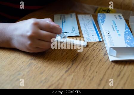 Tallinn, Estland - 12. September 2021: COVID-19 AG Testkit für Selbsttests. Kind testet sich zu Hause auf Coronavirus. Stockfoto