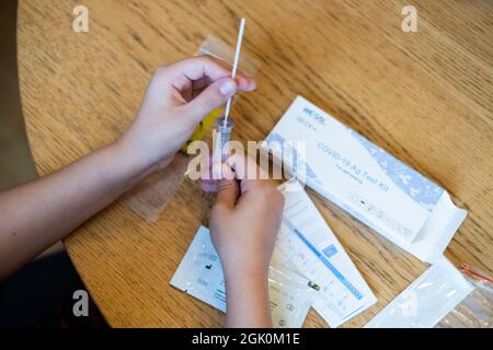 Tallinn, Estland - 12. September 2021: COVID-19 AG Testkit für Selbsttests. Kind testet sich zu Hause auf Coronavirus. Stockfoto