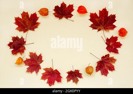 Rahmen aus Physalis und Blättern auf pastellgelbem Hintergrund. Stockfoto