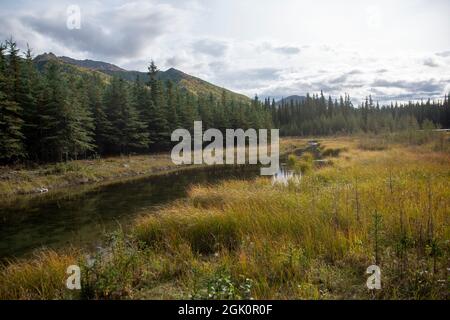 Der Trail rund um den Horseshoe Lake im Denali National Park in Alaska ist einfach und ruhig, aber der Trail hat Stufen, die zum Trailhead führen. Stockfoto