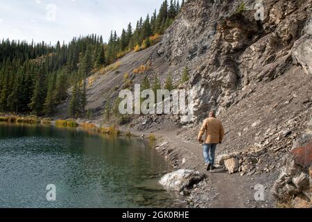 Der Trail rund um den Horseshoe Lake im Denali National Park in Alaska ist einfach und ruhig, aber der Trail hat Stufen, die zum Trailhead führen. Stockfoto