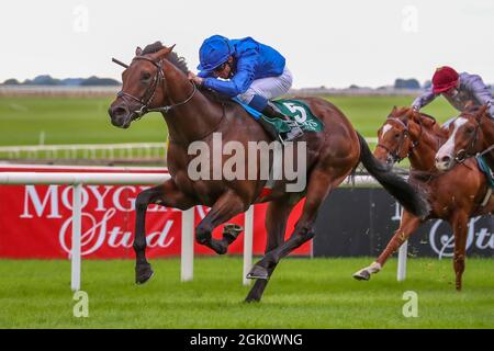 Kildare, USA. September 2021. 12. September 2021: Native Trail (GB) #5, geritten von Jockey William Buick gewinnt am 12. September 2021 auf der Curragh Racecourse in Kildare, Irland, am Irish Champions Weekend den Group 1 Vincent O'Brien National Stakes auf dem Rasen. Shamela HanleyEclipse SportswireCSM/Alamy Live News Stockfoto