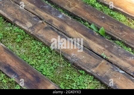 Alte Holzplanken, die nach einem Abbruchjob auf Gras liegen Stockfoto