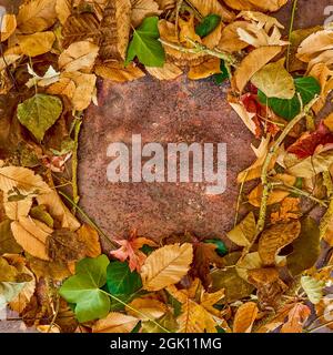 Herbstlicher Hintergrund, gebildet aus braunen, grünen und gelben trockenen Blättern, in Form eines Kreises, auf einer rostigen Metallplatte. Selektiver Fokus. Stockfoto