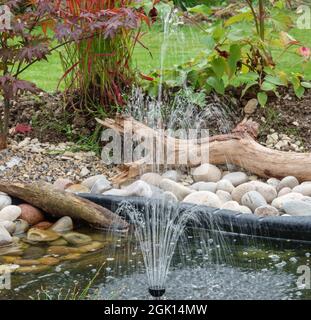 Ein solarbetriebener Brunnen im Garten wirft Mini-Wasserstrahlen nach oben, um wieder in den Gartenteich zu stürzen Stockfoto