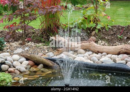 Ein solarbetriebener Brunnen im Garten wirft Mini-Wasserstrahlen nach oben, um wieder in den Gartenteich zu stürzen Stockfoto