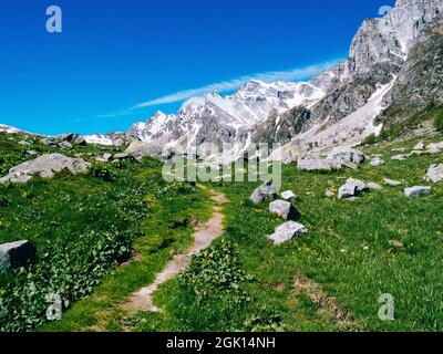 Eine schöne Landschaft mit einem Weg durch die Almwiesen der Devero Alp Stockfoto