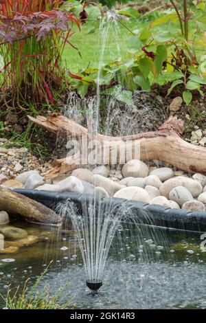 Ein solarbetriebener Brunnen im Garten wirft Mini-Wasserstrahlen nach oben, um wieder in den Gartenteich zu stürzen Stockfoto