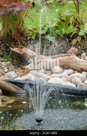 Ein solarbetriebener Brunnen im Garten wirft Mini-Wasserstrahlen nach oben, um wieder in den Gartenteich zu stürzen Stockfoto